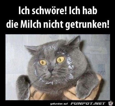Ich schwöre Ich schwöre