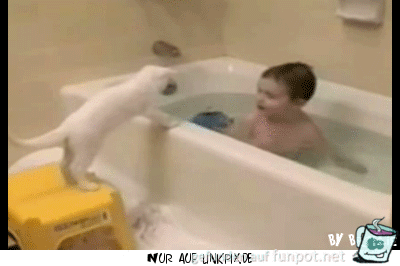 ich will nicht ich will nicht