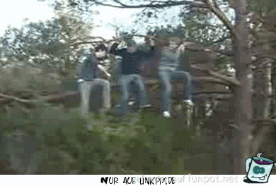 Sooo dämlich Sooo dämlich