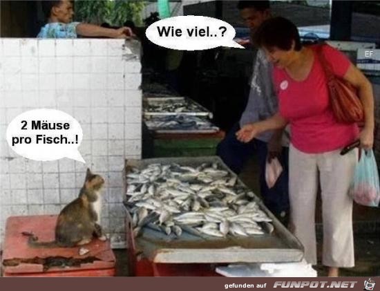 Fisch-verkauf Fisch-verkauf
