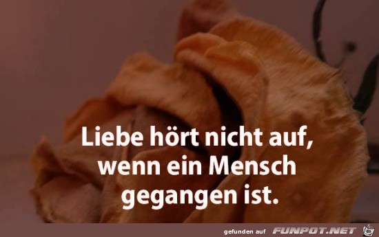 Liebe hoert nicht auf wenn...... Liebe hoert nicht auf wenn......