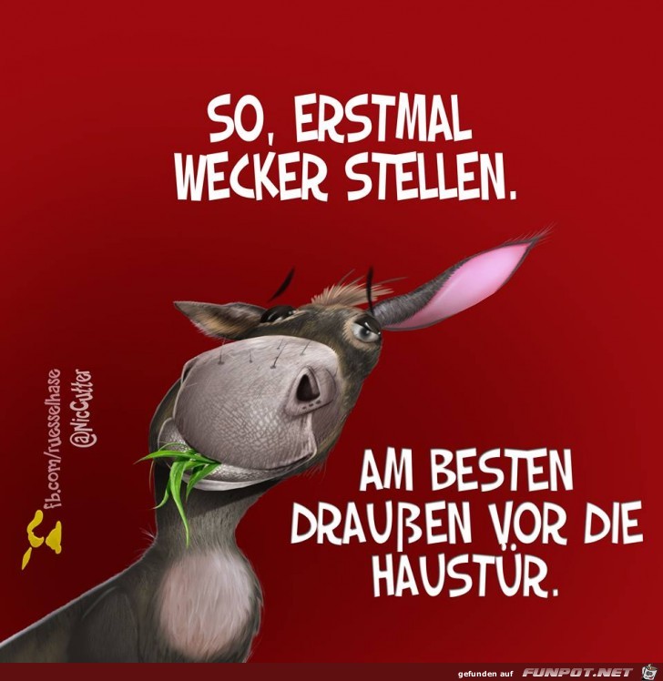 wecker stellen