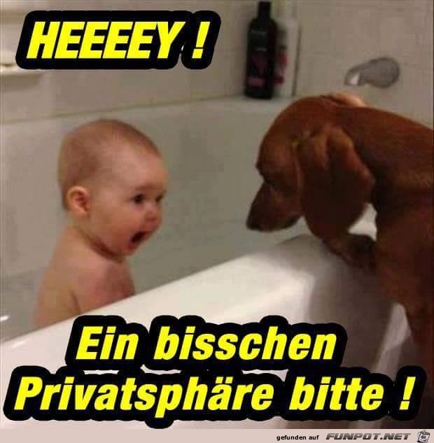 Heeeey Heeeey