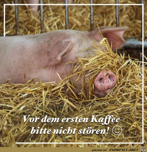 Bitte nicht stoeren Bitte nicht stoeren