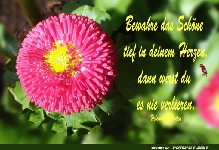 10 schne Sprche und Lebensweisheiten aus...