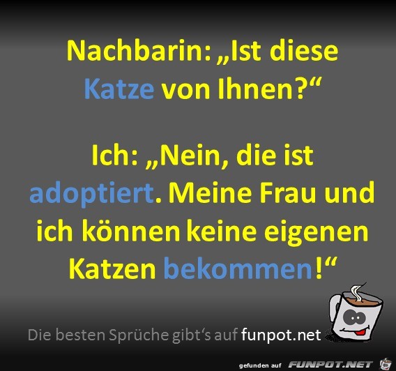 Katze adoptiert Katze adoptiert