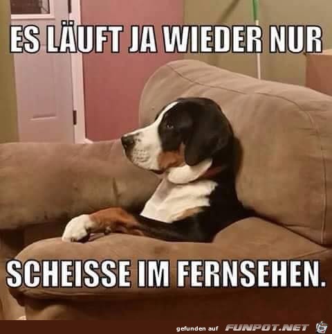 Nur Mist in der Glotze Nur Mist in der Glotze