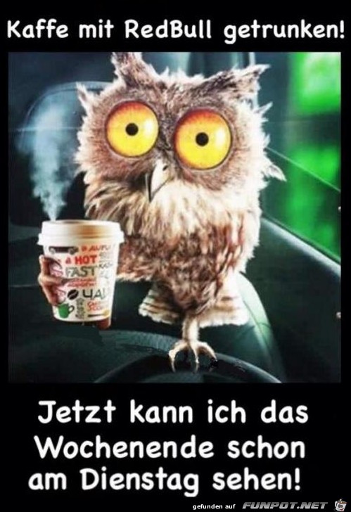 Kaffee mit Redbull...Dienstag Kaffee mit Redbull...Dienstag