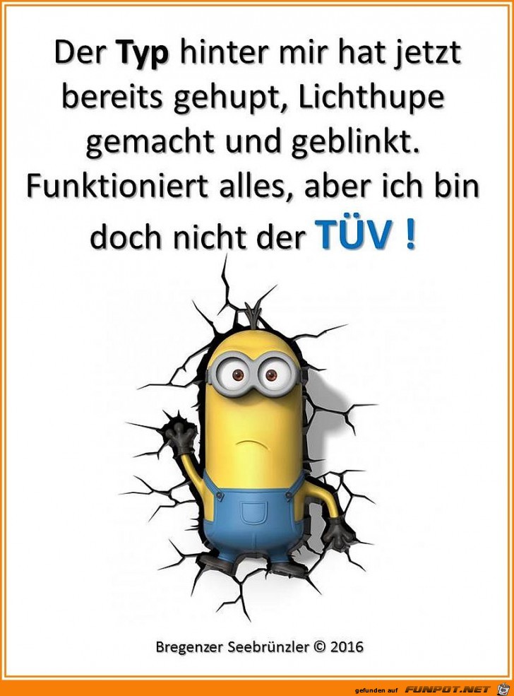 Bilder / Pictures