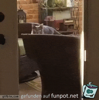 gif das meine Lieben ist Lust am Sport gif das meine Lieben ist Lust am Sport
