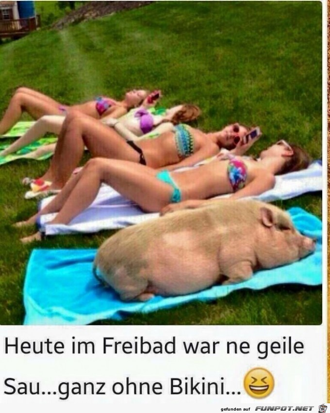 Geile Sau