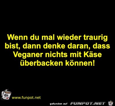 Käse Käse