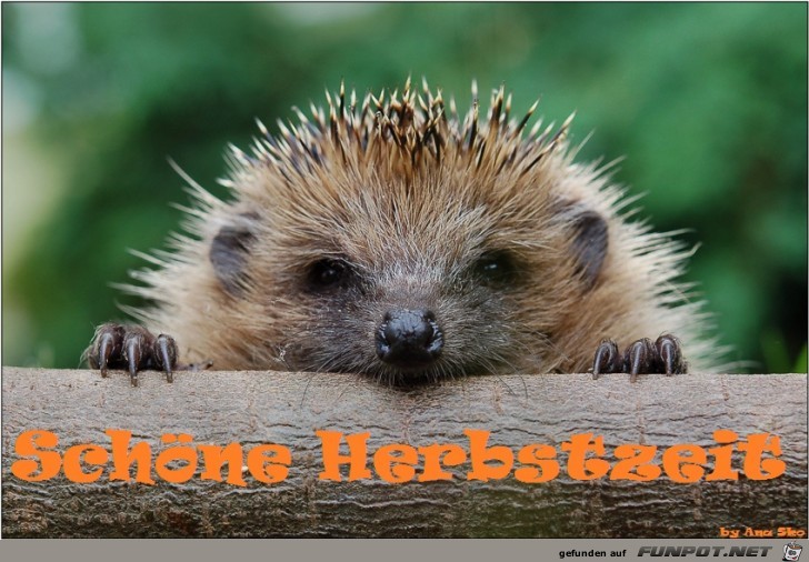 Herbstzeit Herbstzeit
