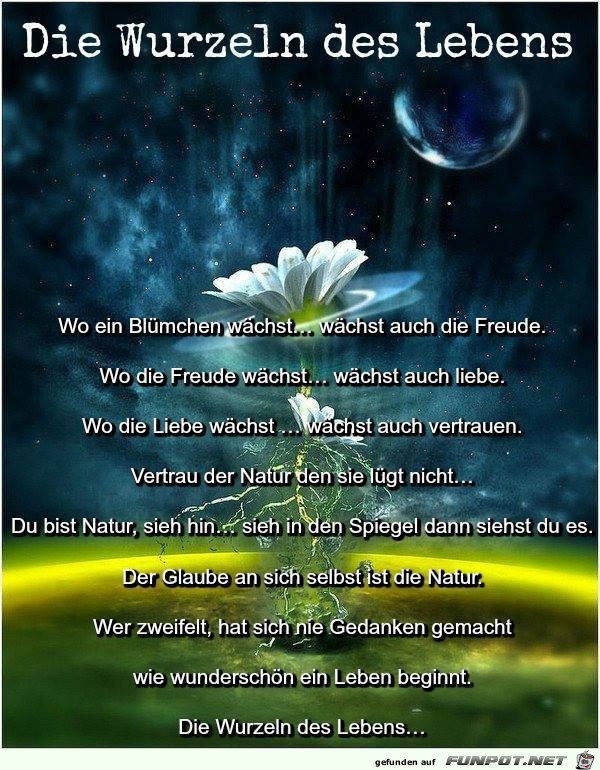 10 schne Sprche und Lebensweisheiten aus...