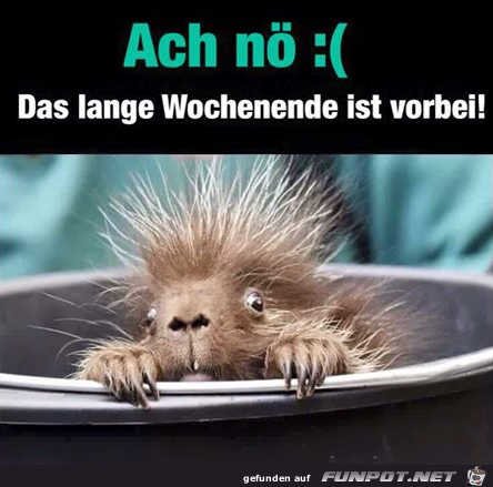 Wochenende ist rum Wochenende ist rum