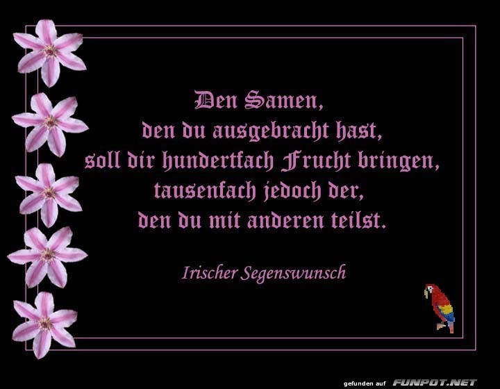 10 schne Sprche und Lebensweisheiten aus...