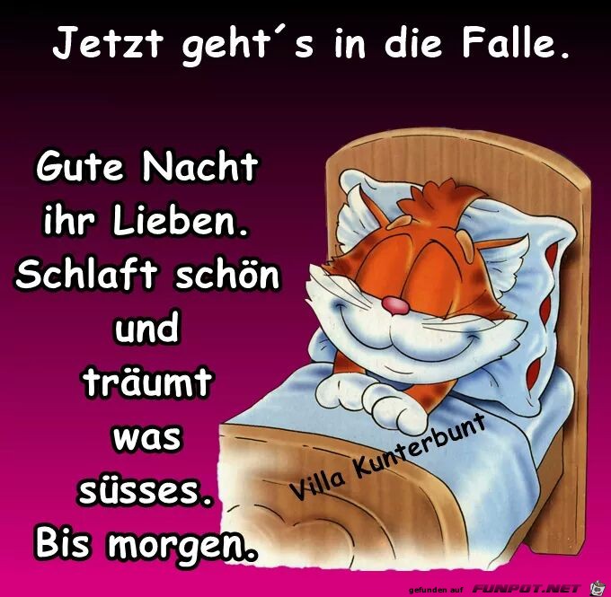 Jetzt gehts in die Falle Jetzt gehts in die Falle