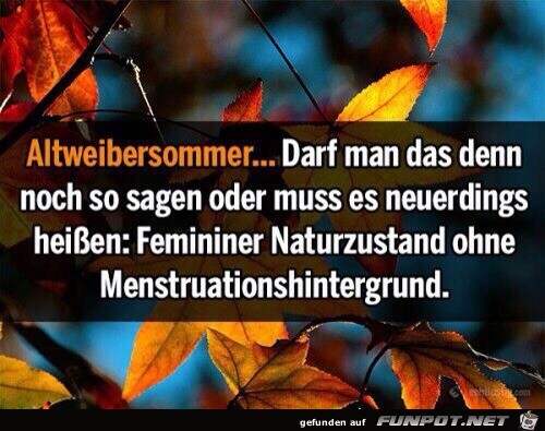 Altweibersommer Altweibersommer