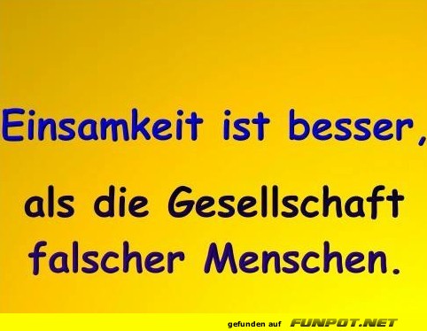 Einsamkeit ist besser