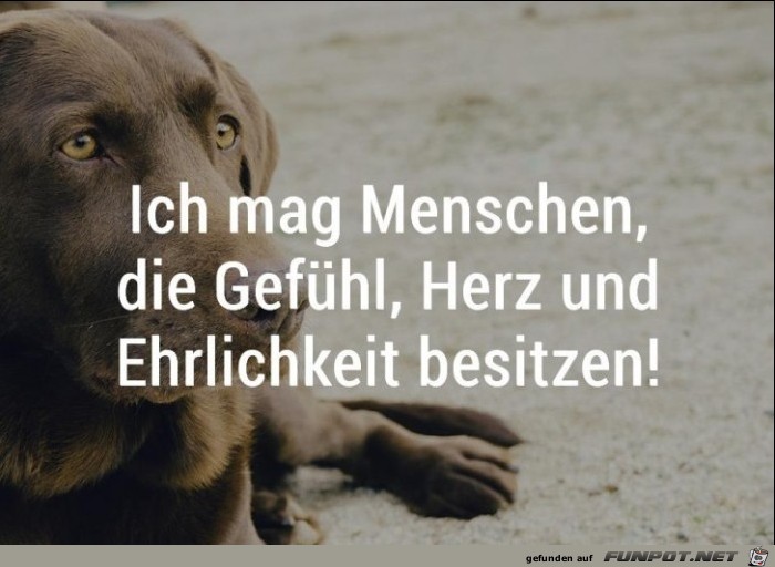 10 schne Sprche und Lebensweisheiten aus...