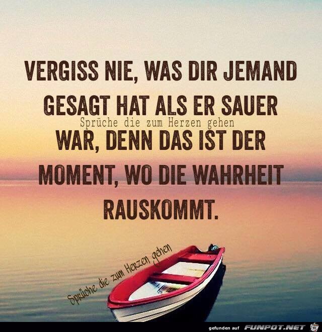 Vergiss nie Vergiss nie