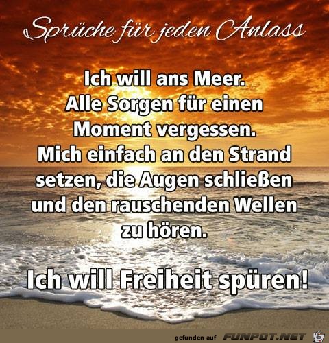 Will ans Meer Will ans Meer