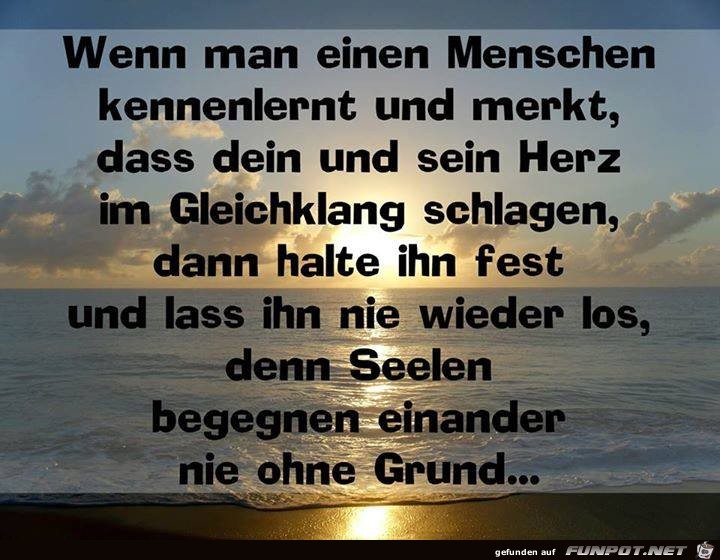 Nie ohne Grund Nie ohne Grund