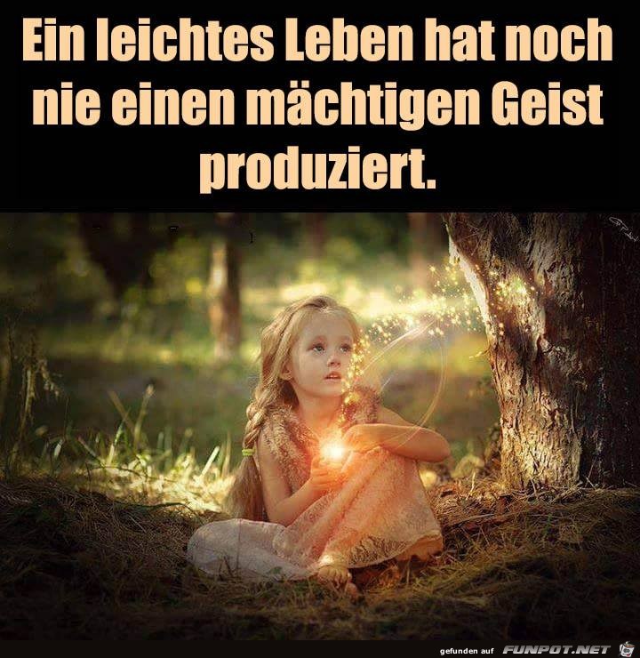 Ein leichtes Leben Ein leichtes Leben