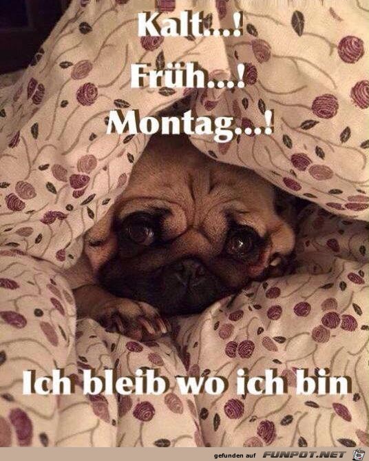 Montag Montag