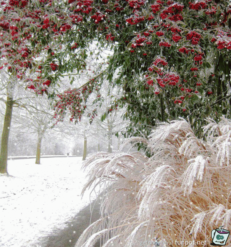 Himmlisch wie es schneit Himmlisch wie es schneit