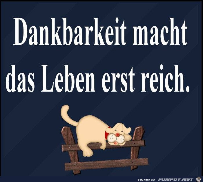 10 schne Sprche und Lebensweisheiten aus...