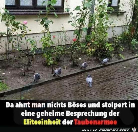 Geheime Besprechung Geheime Besprechung