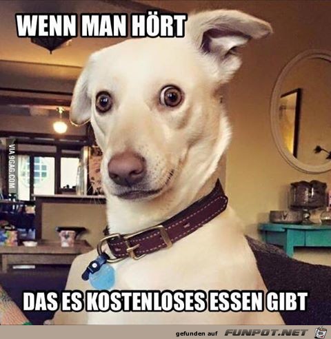 Wenn man hört Wenn man hört