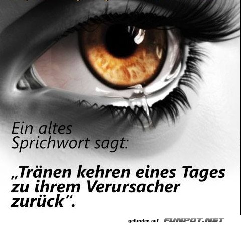 10 schne Sprche und Lebensweisheiten aus...