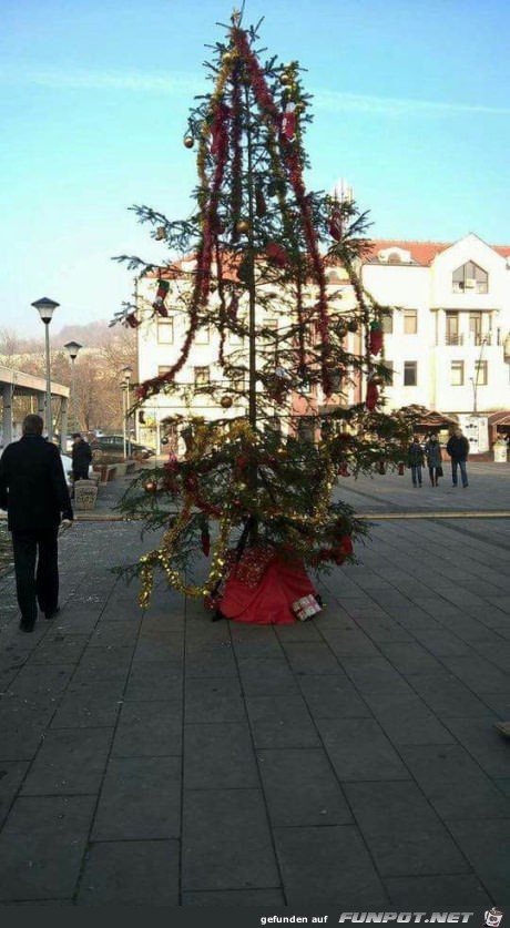 Was für ein toller Baum Was für ein toller Baum