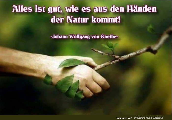 Alles ist gut Alles ist gut