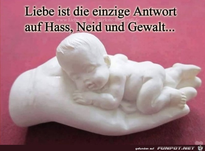 Liebe ist die einzige Art Liebe ist die einzige Art