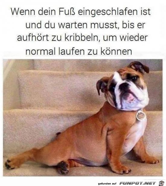 Fuß eingschlafen Fuß eingschlafen