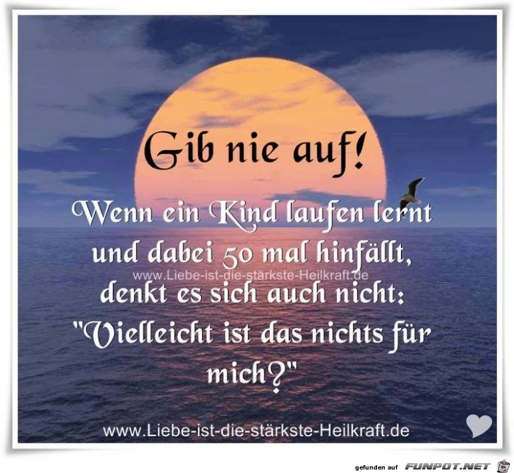 Gib nie auf