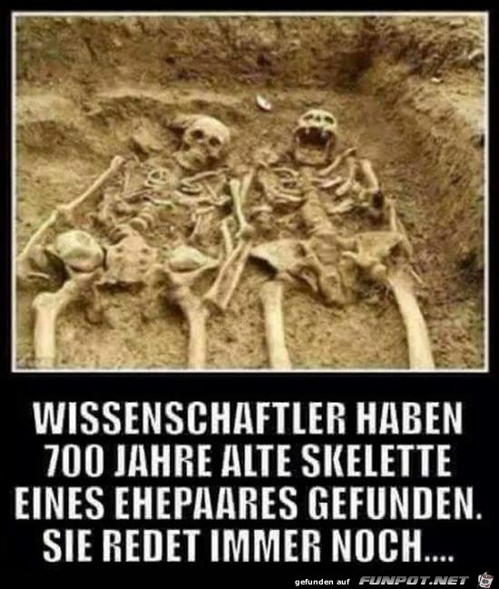 sie redet immer noch sie redet immer noch
