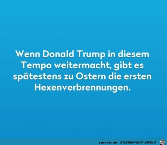 Trump Trump