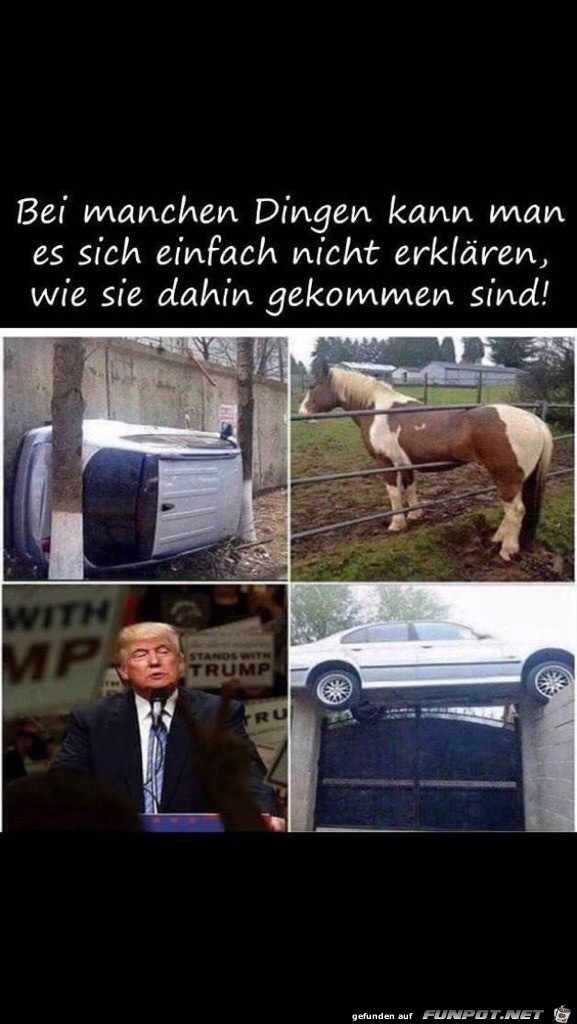 Manche Dinge Manche Dinge