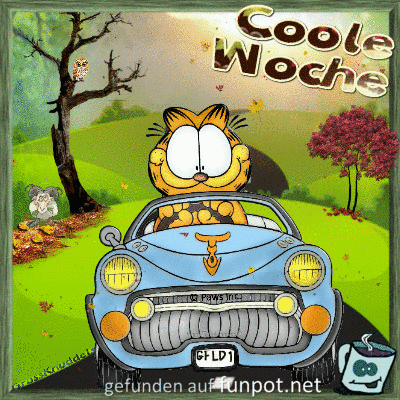 Coole Woche Coole Woche