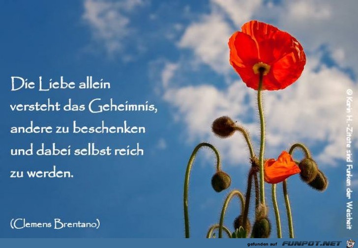 Die Liebe allein Die Liebe allein