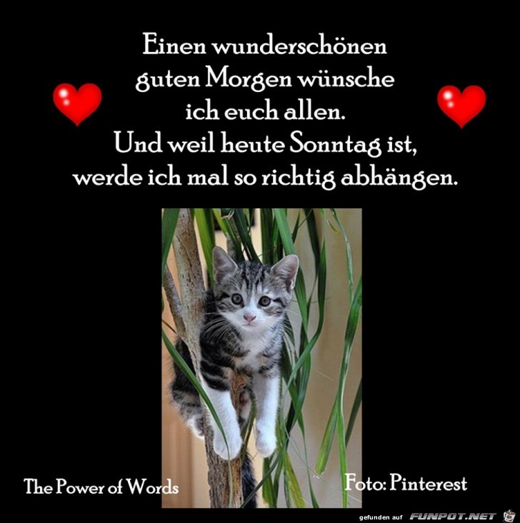 Eine wunderschoenen Sonntag Eine wunderschoenen Sonntag