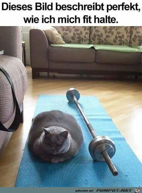 So halte ich mich fit So halte ich mich fit