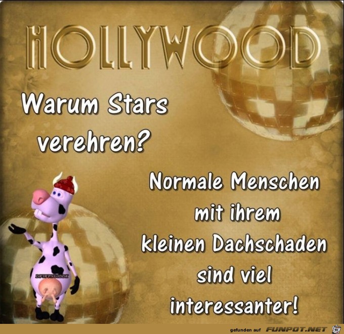 Warum Warum