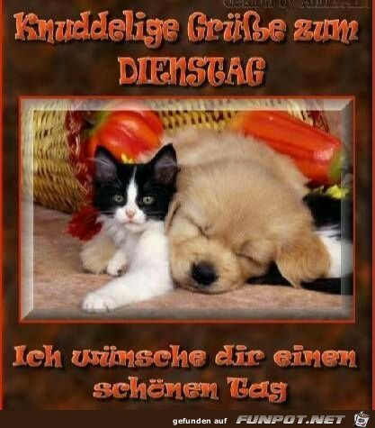 Knuddelige Gruesse Knuddelige Gruesse
