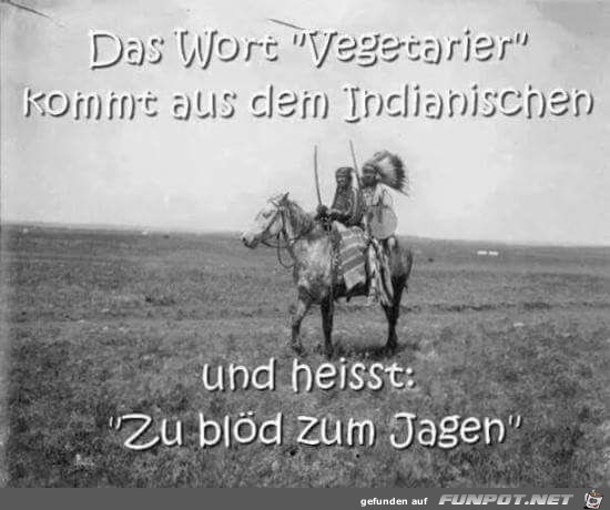 Vegetarier Vegetarier