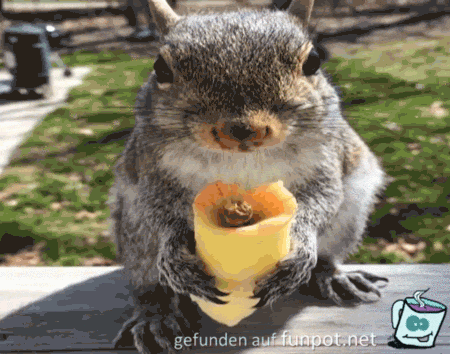 Yammi Yammi